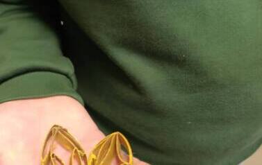 597389520_122158370546801099_2743600901965500245_n