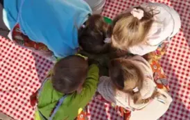 b471a160-8306-4c9a-8068-c72a7465c524