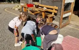 2a823e44-0241-4a34-a229-4fa628918fca