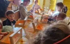 3c44f4fe-5109-4c44-9324-6032d99dc42d